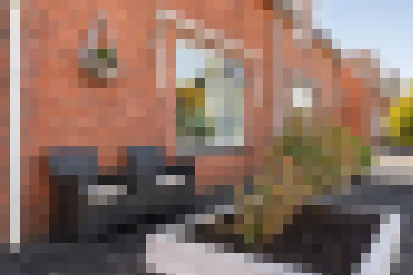 Zwarte Dijk 13 Lutten thumbnail 7