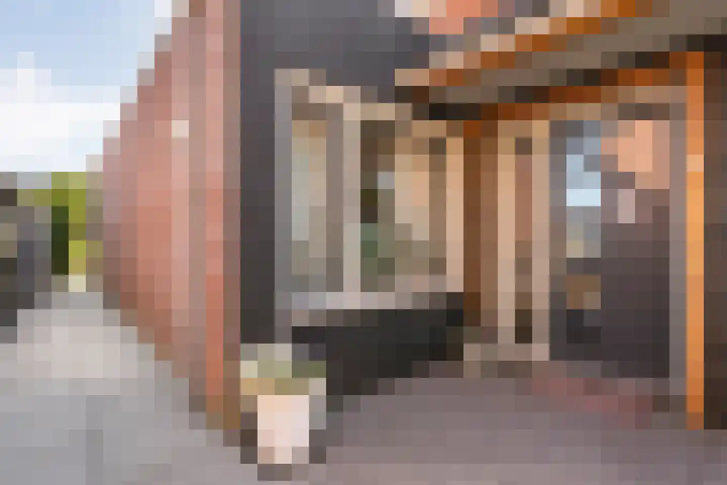 Zwarte Dijk 13 Lutten thumbnail 8