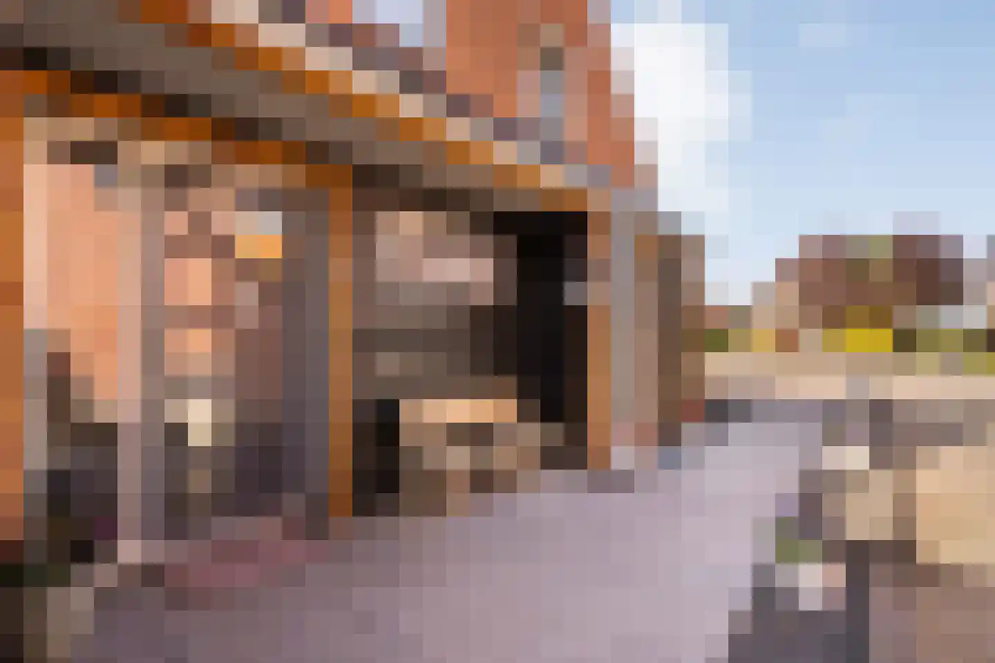 Zwarte Dijk 13 Lutten thumbnail 9