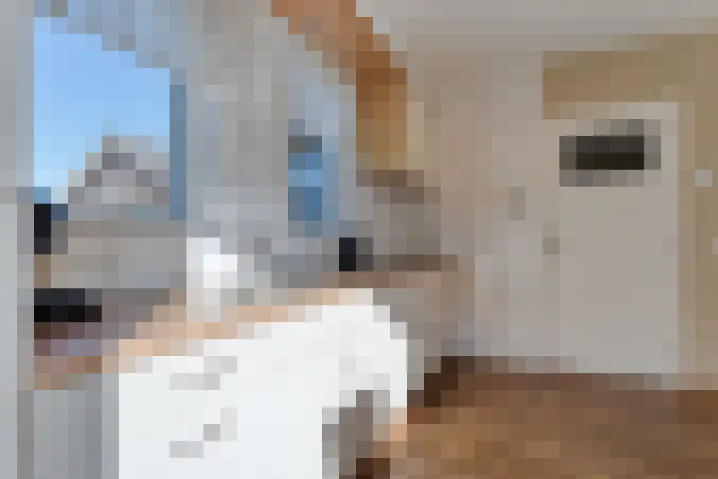 Zwarte Dijk 28 Lutten thumbnail 20