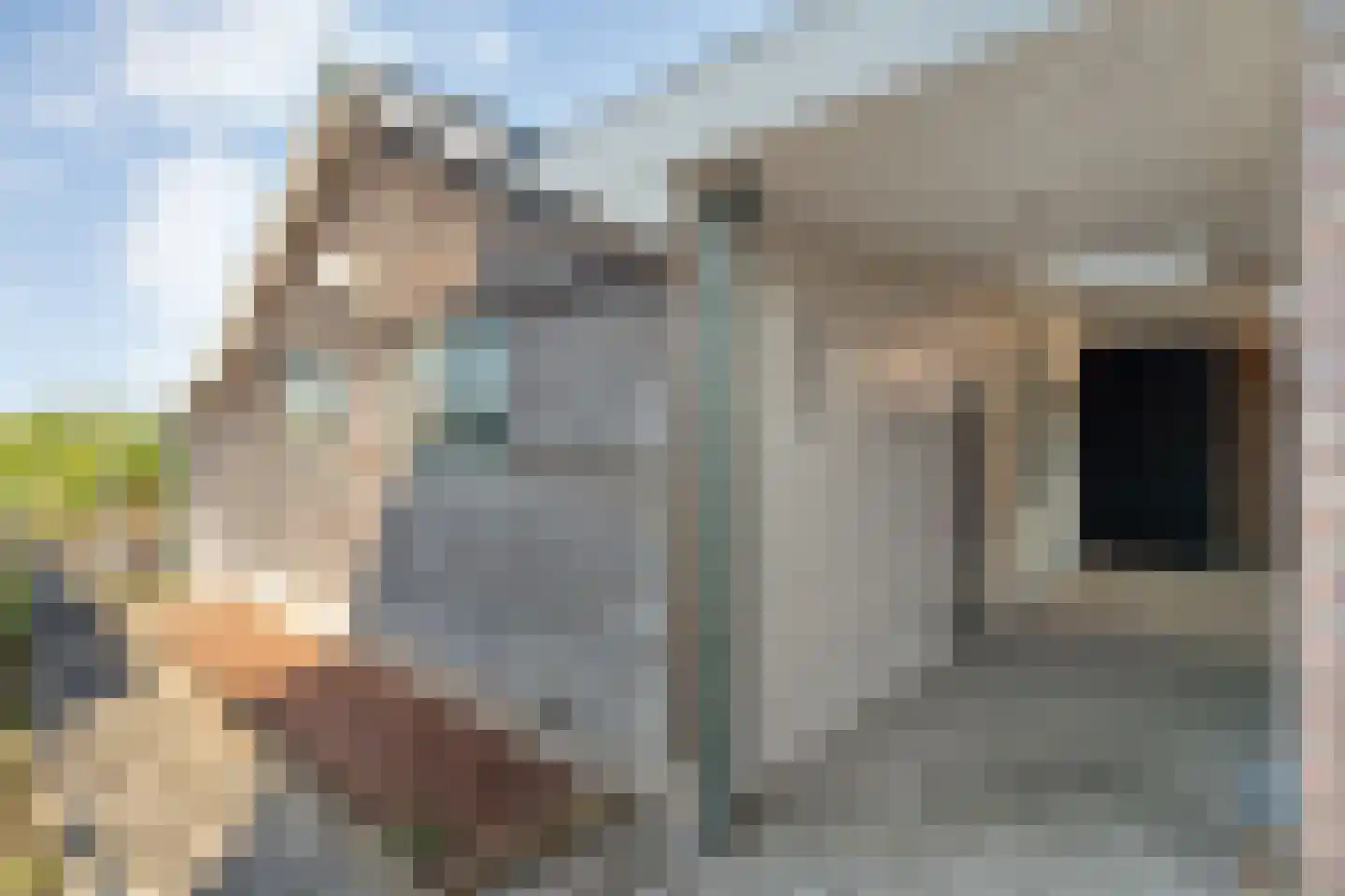 Zwarte Dijk 28 Lutten thumbnail 48