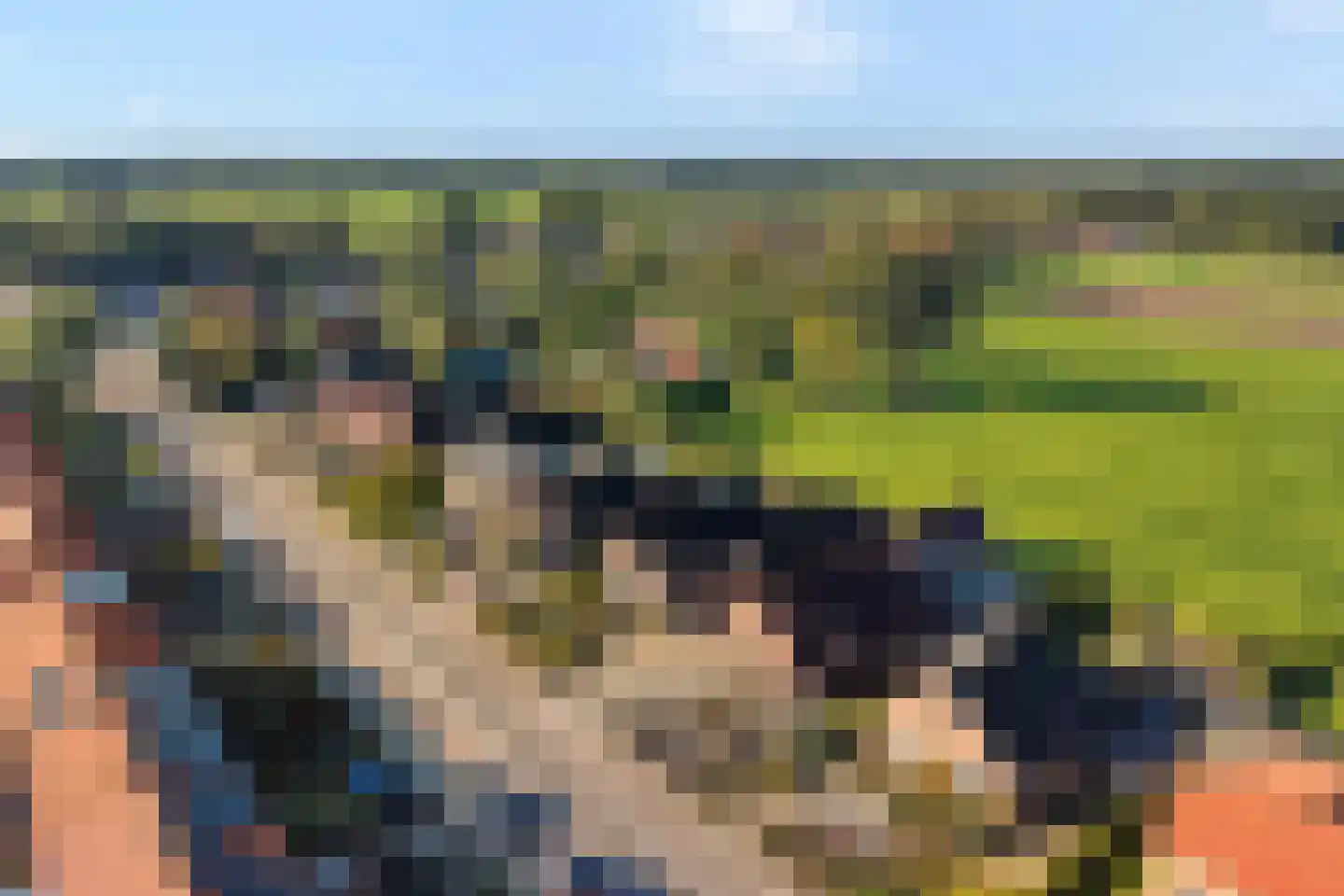 Zwarte Dijk 28 Lutten thumbnail 5