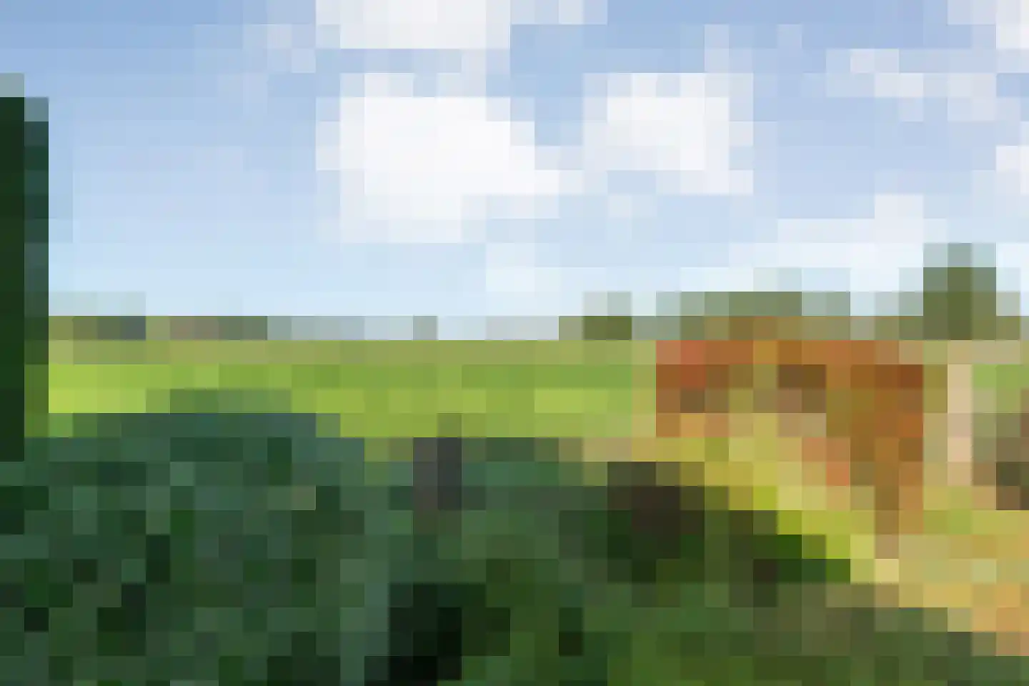 Zwarte Dijk 28 Lutten thumbnail 53