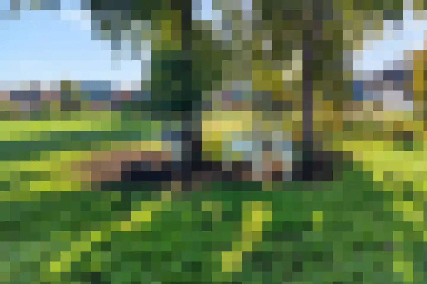 Zwarte Dijk 28 Lutten thumbnail 54