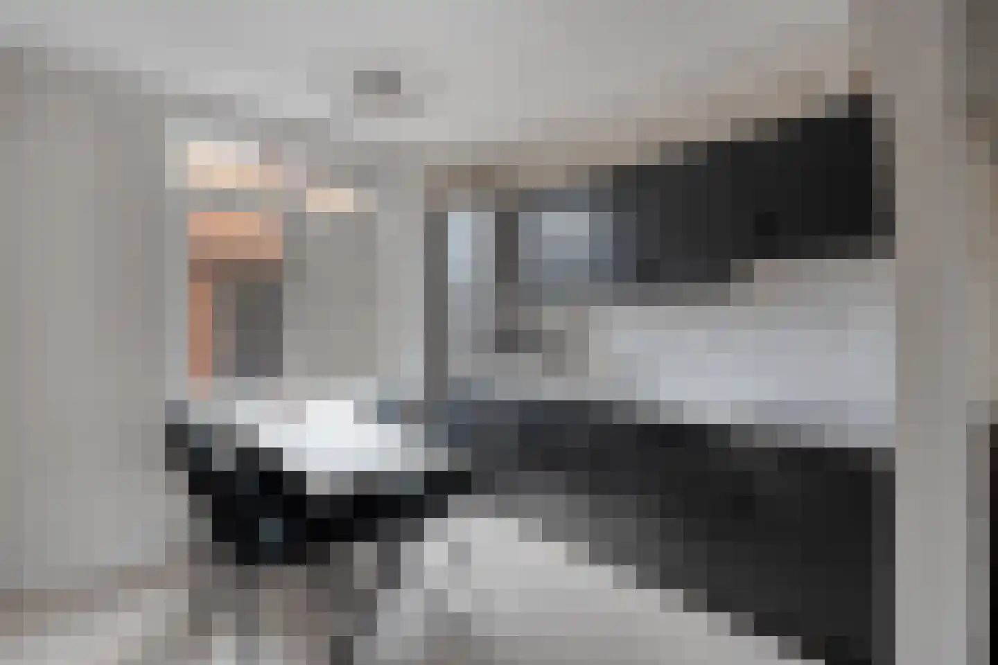 Zwarte Dijk 9 Lutten thumbnail 13