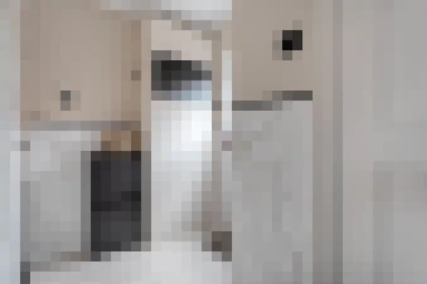 Zwarte Dijk 9 Lutten thumbnail 16