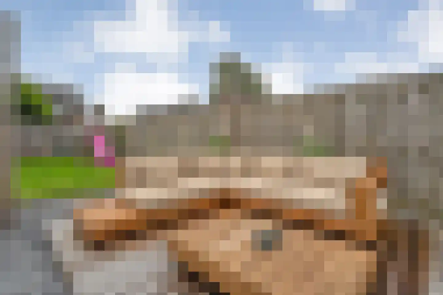 Zwarte Dijk 9 Lutten thumbnail 30