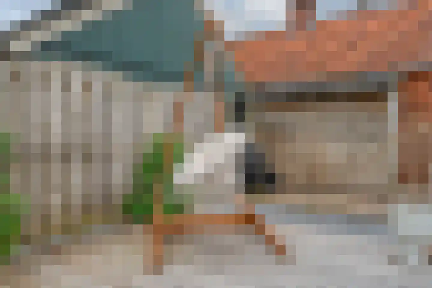 Zwarte Dijk 9 Lutten thumbnail 31