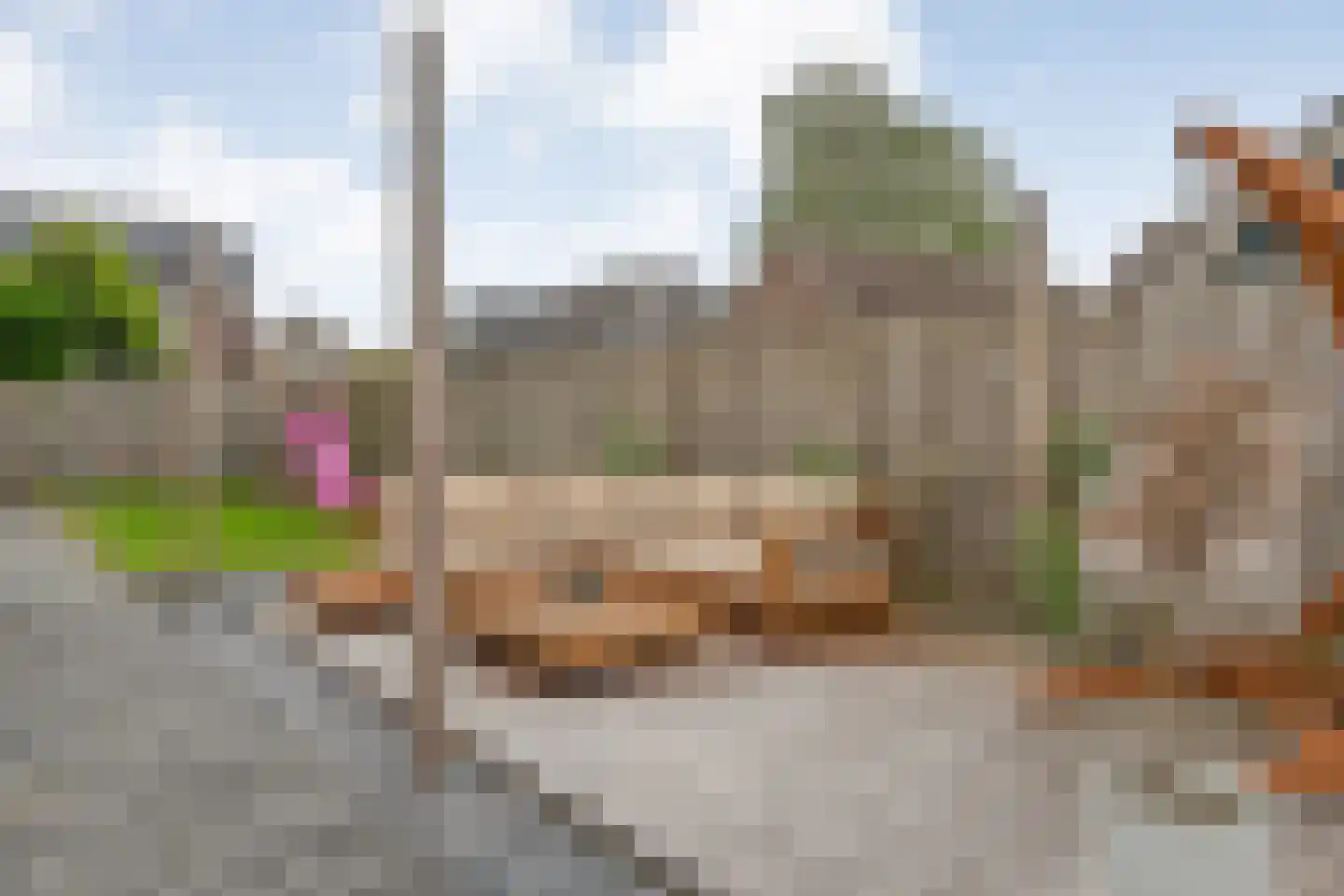 Zwarte Dijk 9 Lutten thumbnail 35