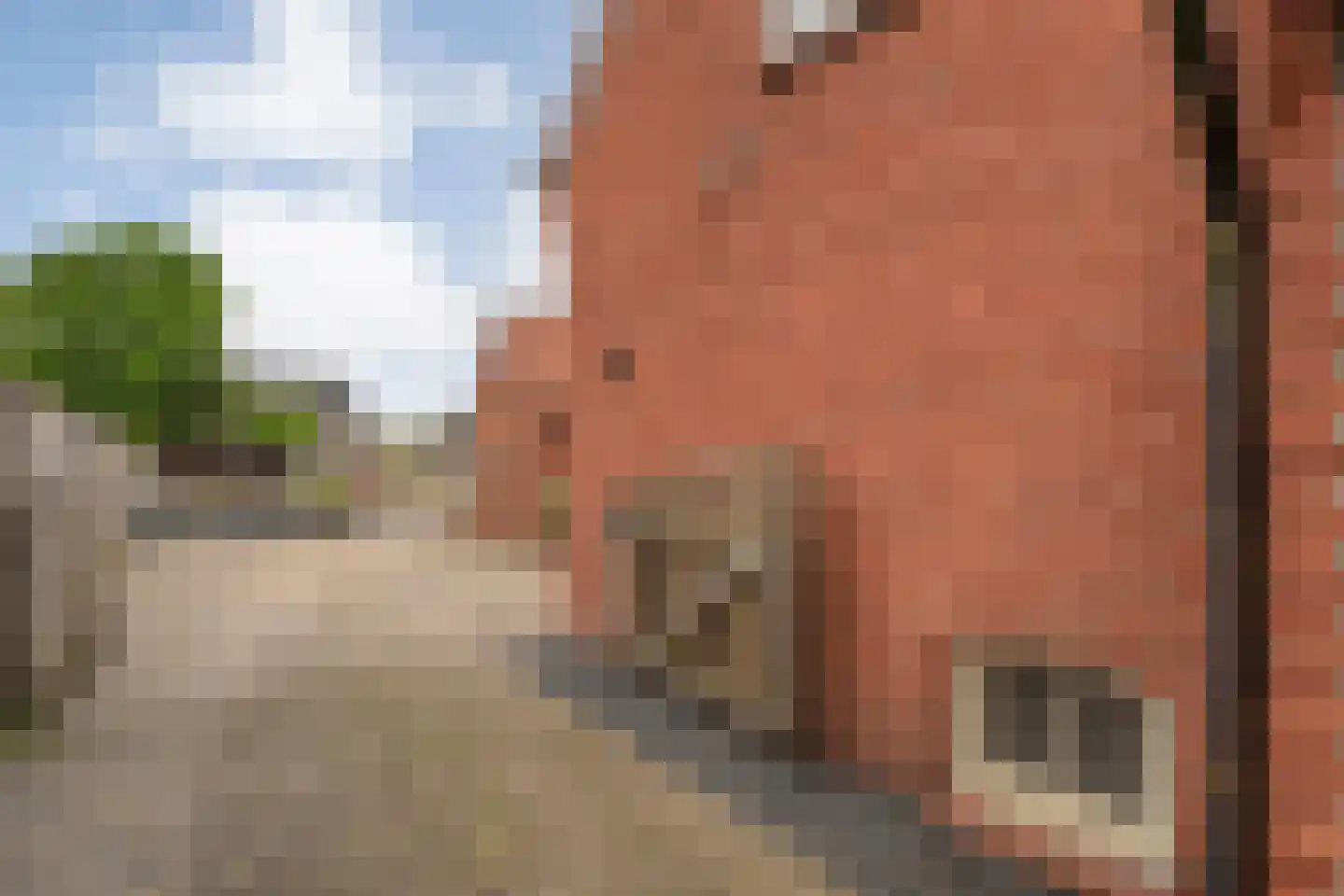 Zwarte Dijk 9 Lutten thumbnail 37