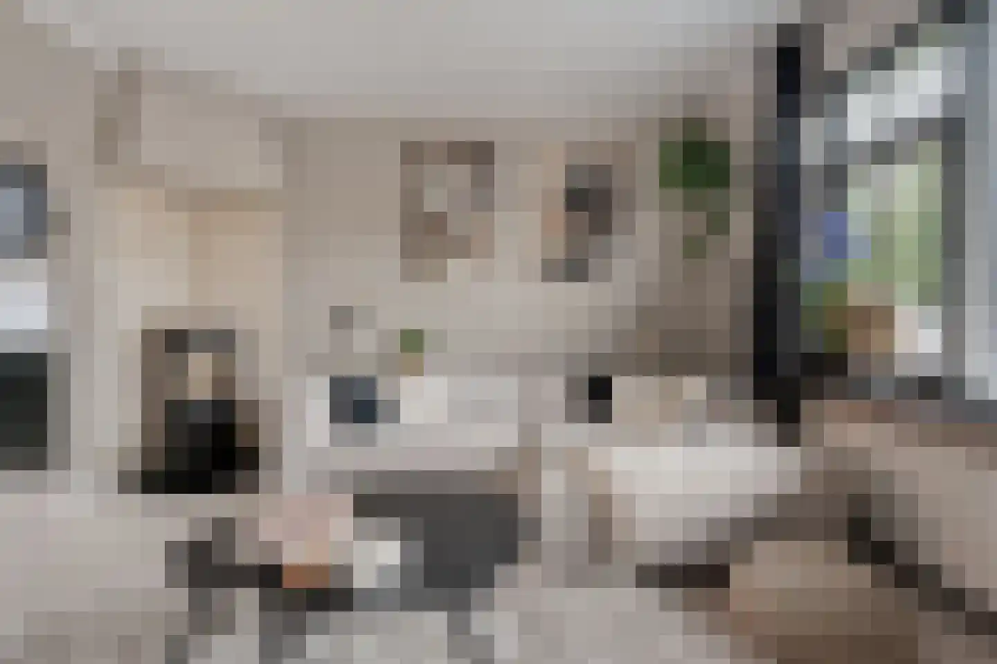 Zwarte Dijk 9 Lutten thumbnail 8