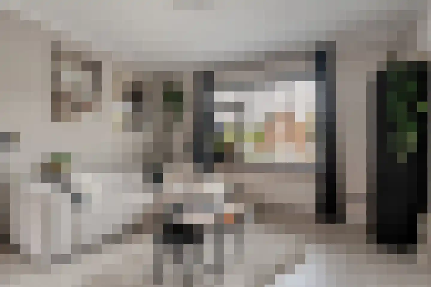 Zwarte Dijk 9 Lutten thumbnail 9