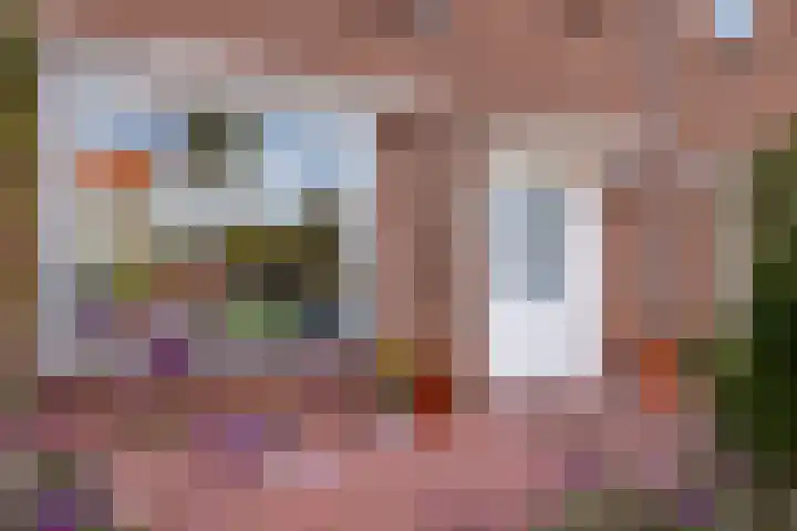 Zwarte Dijkje 10 Noordscheschut thumbnail 10