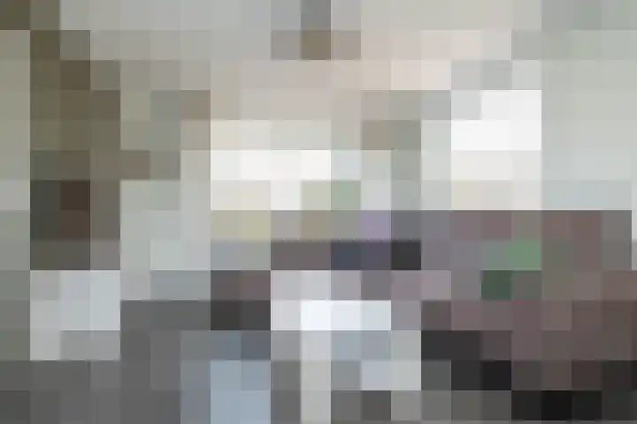 Zwarte Dijkje 10 Noordscheschut thumbnail 13