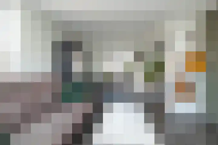 Zwarte Dijkje 10 Noordscheschut thumbnail 14