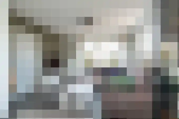 Zwarte Dijkje 10 Noordscheschut thumbnail 15