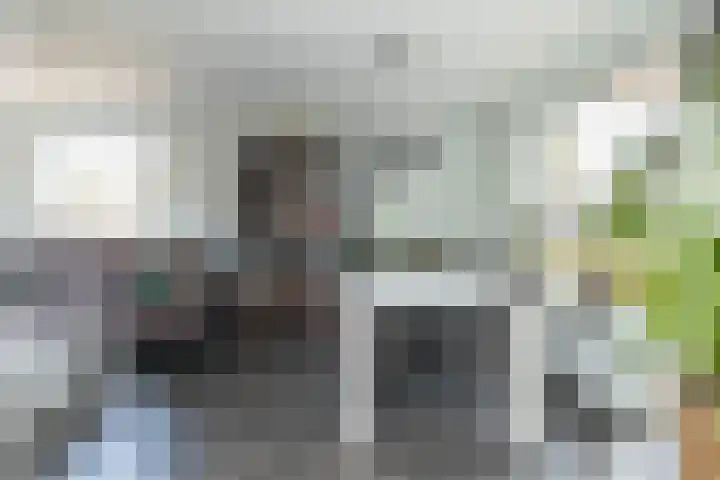 Zwarte Dijkje 10 Noordscheschut thumbnail 19