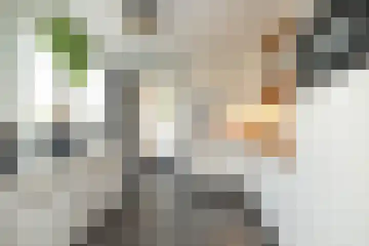 Zwarte Dijkje 10 Noordscheschut thumbnail 22