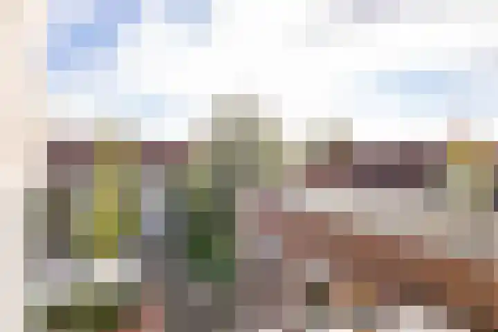 Zwarte Dijkje 10 Noordscheschut thumbnail 33