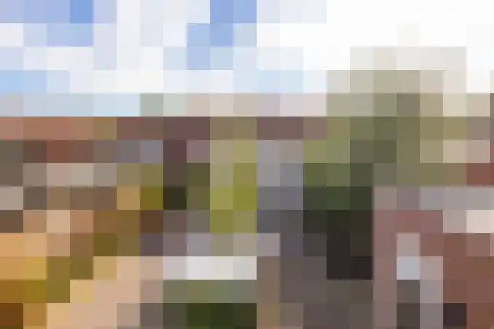Zwarte Dijkje 10 Noordscheschut thumbnail 34