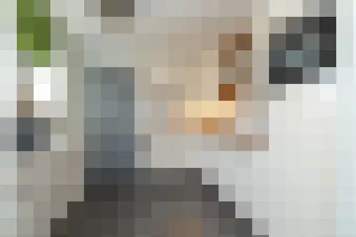 Zwarte Dijkje 10 Noordscheschut thumbnail 4