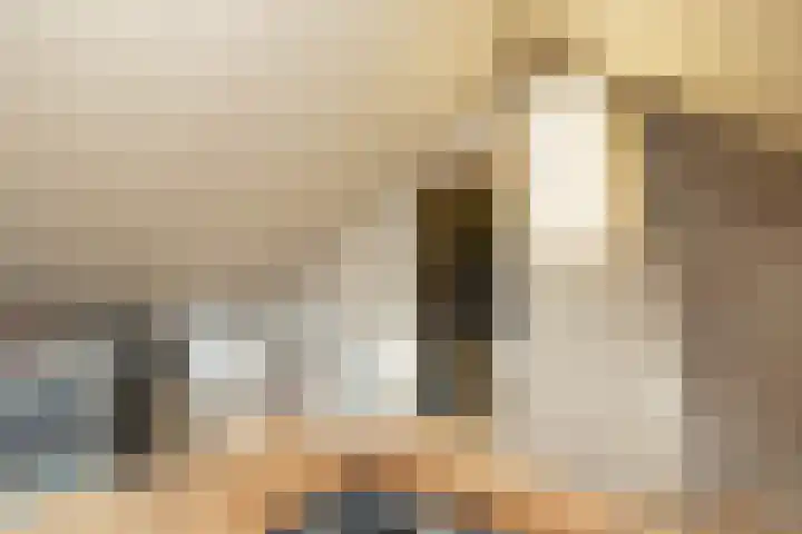 Zwarte Dijkje 10 Noordscheschut thumbnail 41