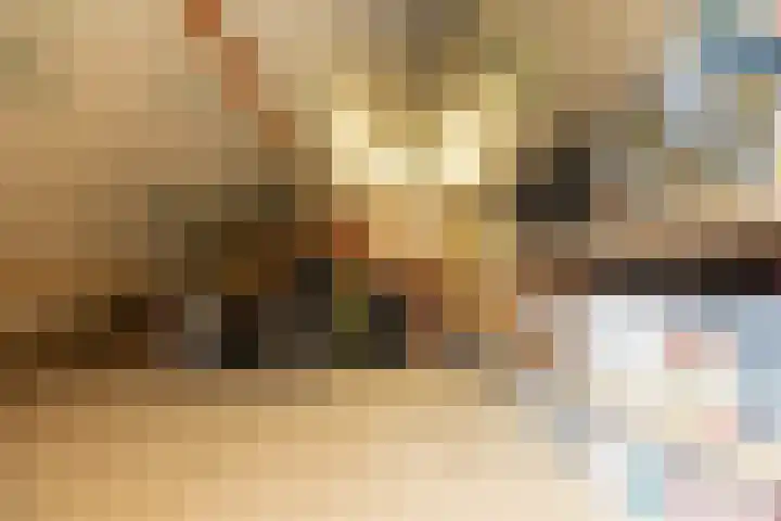 Zwarte Dijkje 10 Noordscheschut thumbnail 42