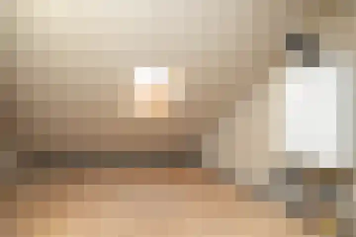 Zwarte Dijkje 10 Noordscheschut thumbnail 43