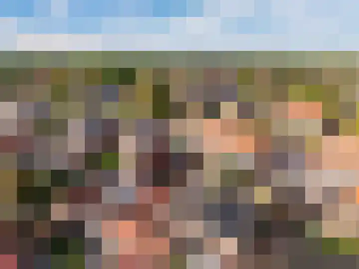 Zwarte Dijkje 10 Noordscheschut thumbnail 45