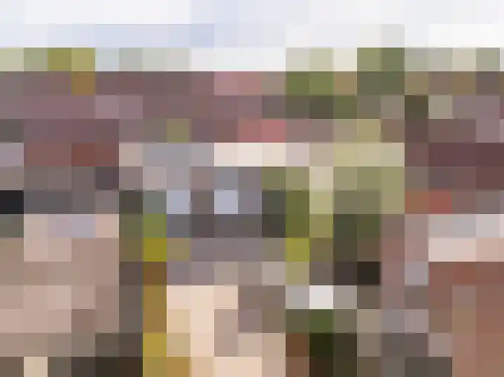 Zwarte Dijkje 10 Noordscheschut thumbnail 46