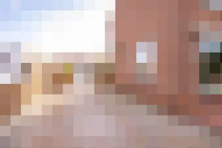 Zwarte Dijkje 10 Noordscheschut thumbnail 47