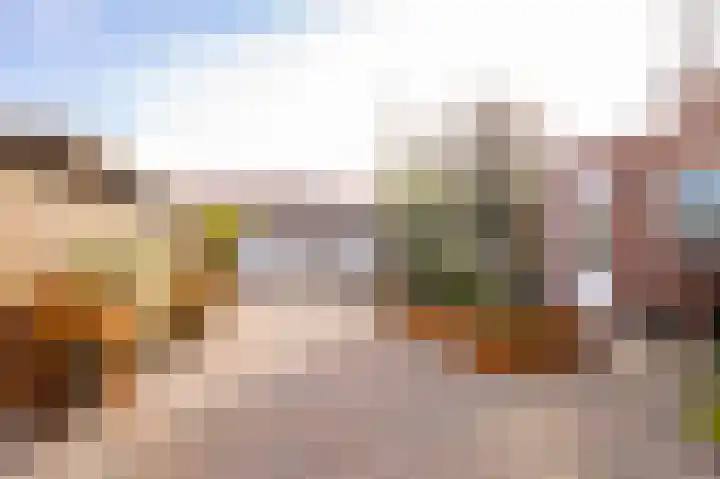 Zwarte Dijkje 10 Noordscheschut thumbnail 48