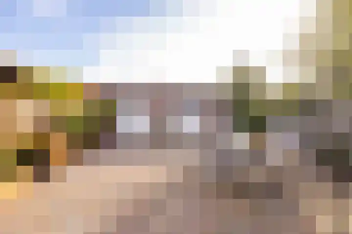 Zwarte Dijkje 10 Noordscheschut thumbnail 49