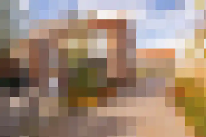 Zwarte Dijkje 10 Noordscheschut thumbnail 51