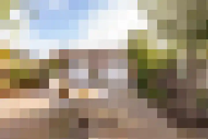 Zwarte Dijkje 10 Noordscheschut thumbnail 52