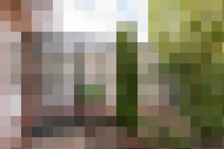 Zwarte Dijkje 10 Noordscheschut thumbnail 53