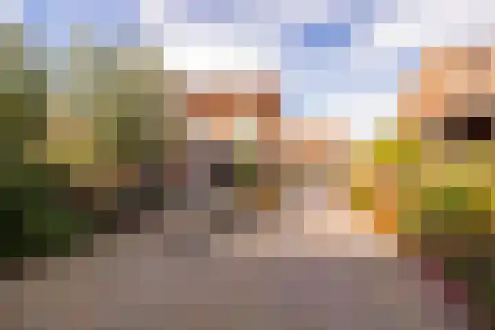 Zwarte Dijkje 10 Noordscheschut thumbnail 54