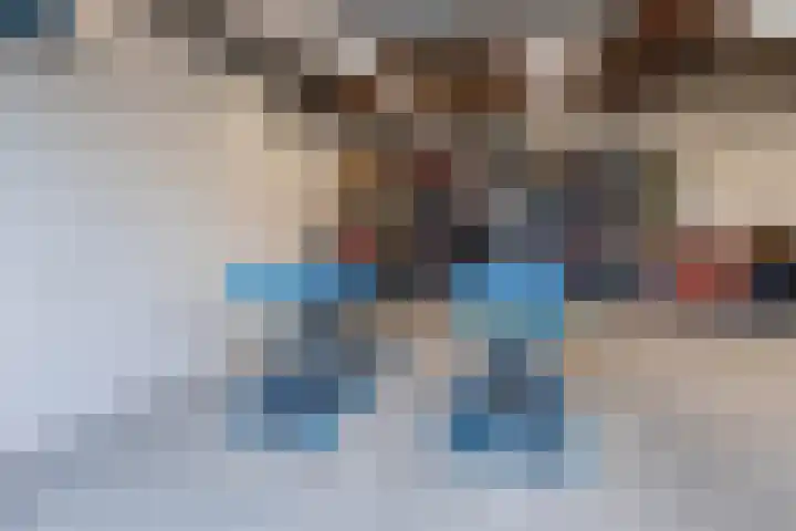 Zwarte Dijkje 10 Noordscheschut thumbnail 58