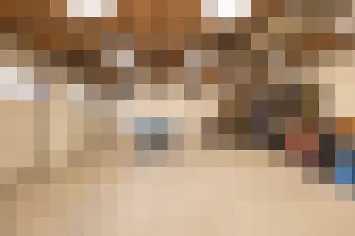 Zwarte Dijkje 10 Noordscheschut thumbnail 6