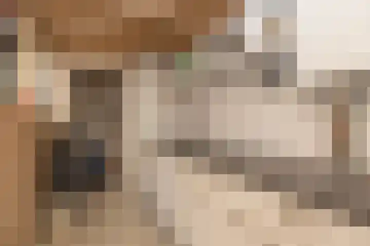 Zwarte Dijkje 10 Noordscheschut thumbnail 62