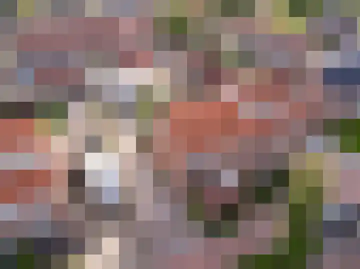 Zwarte Dijkje 10 Noordscheschut thumbnail 64