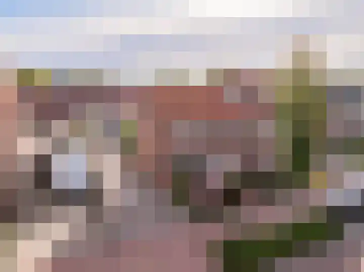 Zwarte Dijkje 10 Noordscheschut thumbnail 65