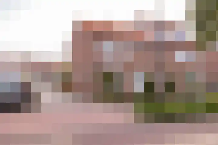 Zwarte Dijkje 10 Noordscheschut thumbnail 66