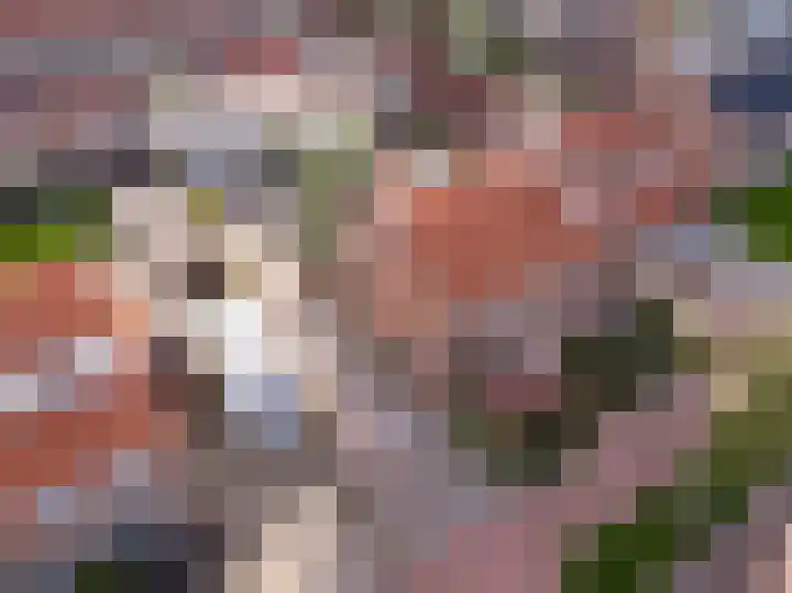 Zwarte Dijkje 10 Noordscheschut thumbnail 8