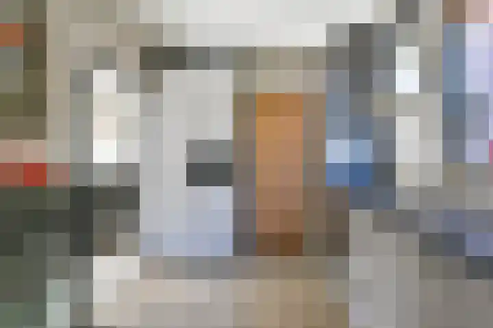 Zwarte Dijkje 15 Noordscheschut thumbnail 12