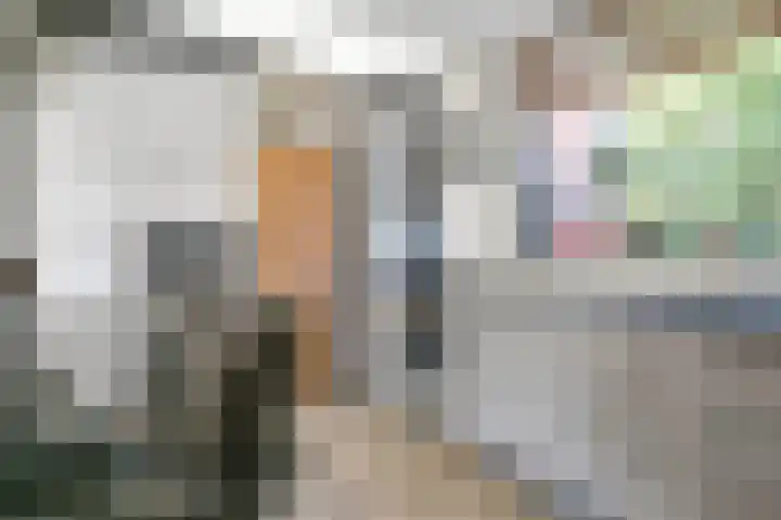 Zwarte Dijkje 15 Noordscheschut thumbnail 13
