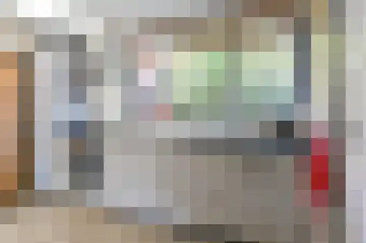 Zwarte Dijkje 15 Noordscheschut thumbnail 14