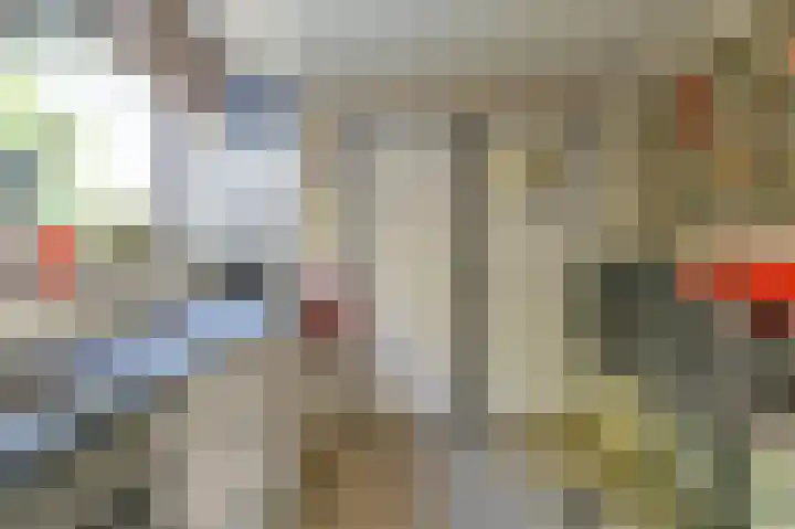 Zwarte Dijkje 15 Noordscheschut thumbnail 15