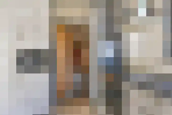 Zwarte Dijkje 15 Noordscheschut thumbnail 17