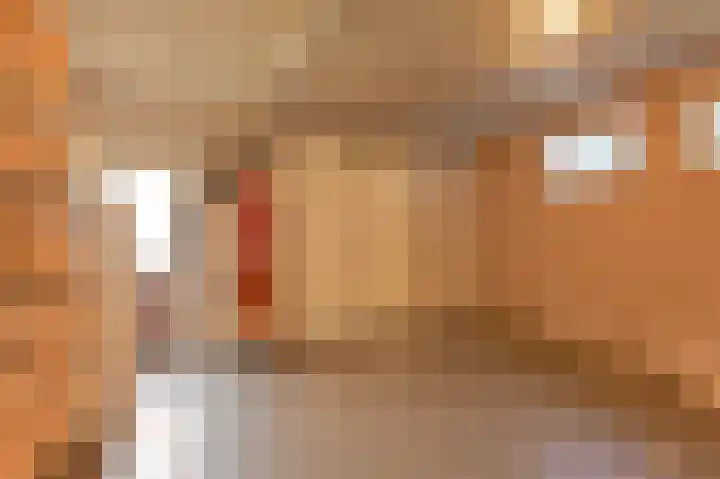Zwarte Dijkje 15 Noordscheschut thumbnail 18